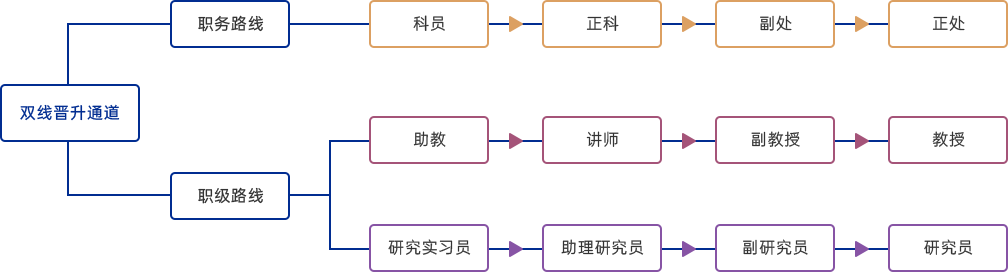 輔導(dǎo)員職務(wù)職級“雙線晉升”通道